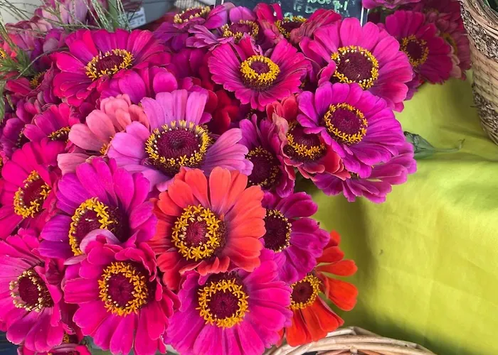 Nature Escape Charming Riverside House Σπίτι διακοπών