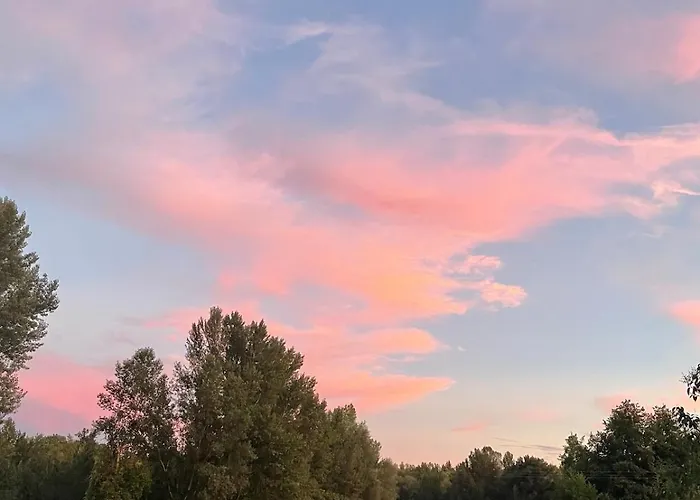 Nature Escape Charming Riverside House *